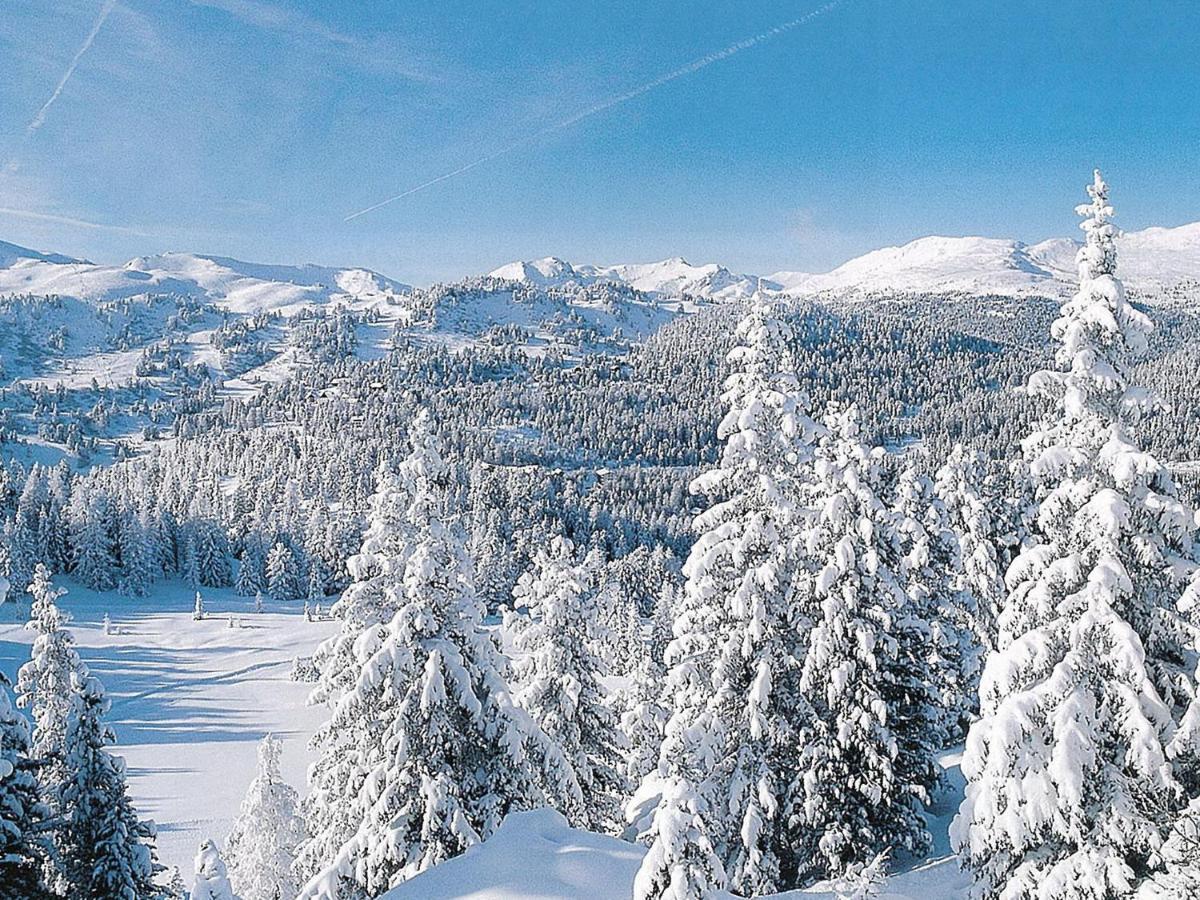 Chalet In Turracherh He Styria Near Ski Area Туррахер-Хёэ Экстерьер фото